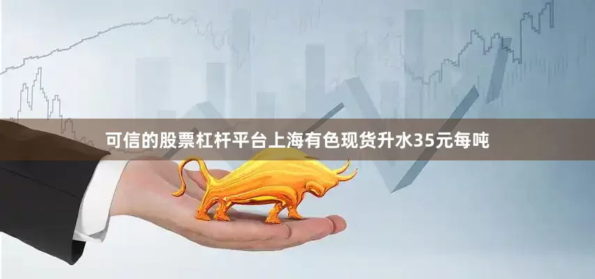 可信的股票杠杆平台上海有色现货升水35元每吨