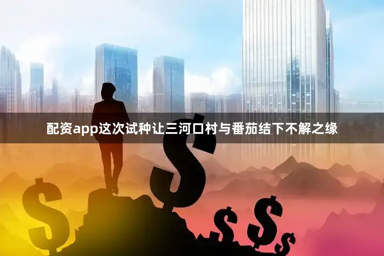 配资app　　这次试种让三河口村与番茄结下不解之缘